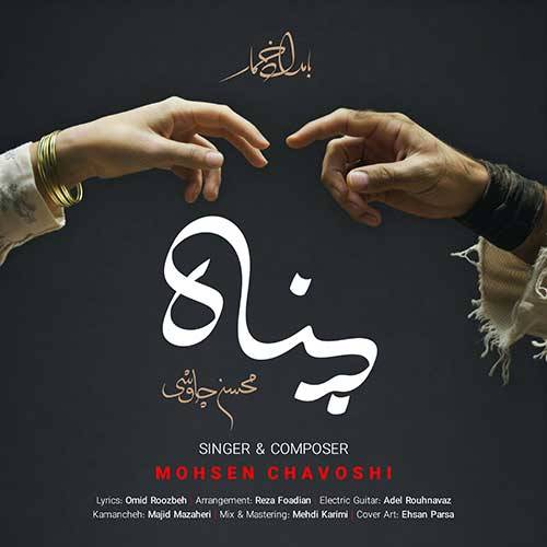 محسن چاوشی پناه